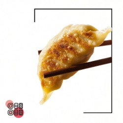 Gyoza poulet